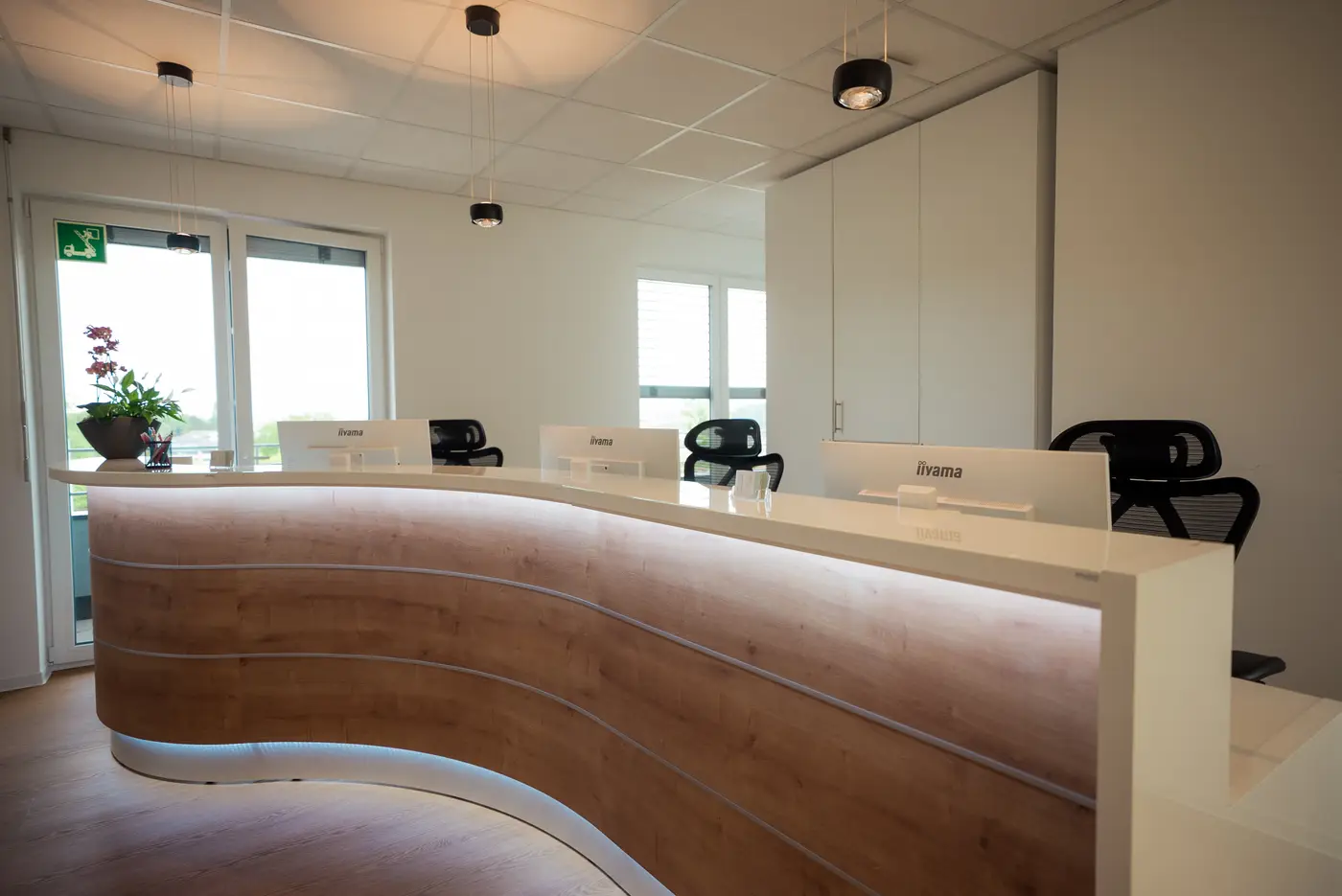 Geschwungener Holz-Empfang Medical Point Idstein