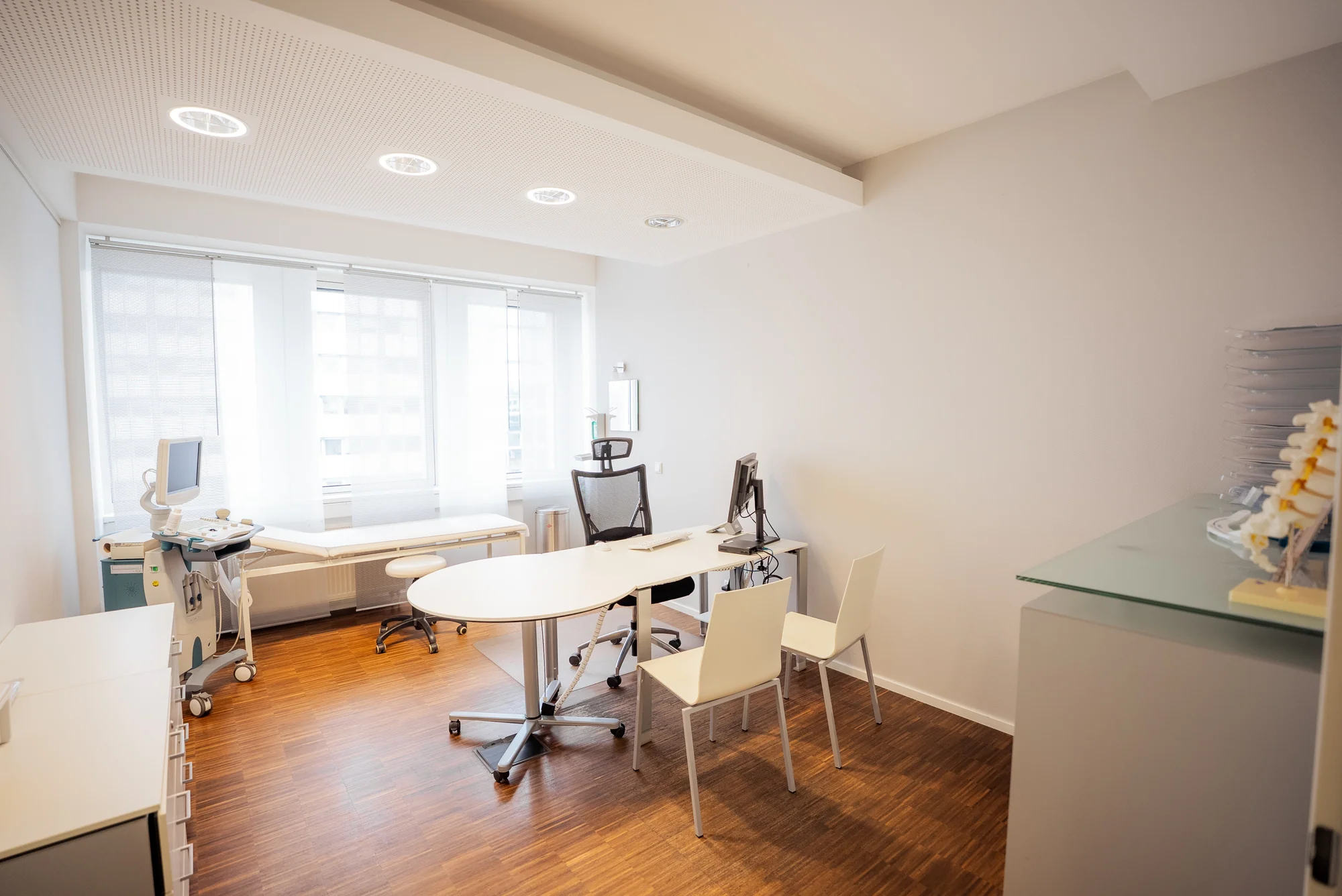 Sprechzimmer mit Wirbelsäulenmodell Welfenhof Wiesbaden